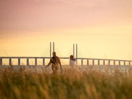 Øresundsbroen