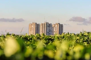 Højhuskompleks set over friske grønne marker på en klar himmel dag.