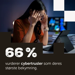 Slide 5: 66% vurderer cybertrusler som deres største bekymring.