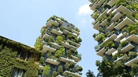 Bygninger med træer og grønt