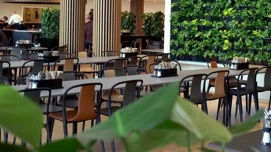 Moderne restaurant interiør med planter og gæster i baggrunden, Danmark.