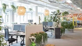 Moderne og rummeligt kontorlandskab med planter og hængende lamper i Danmark