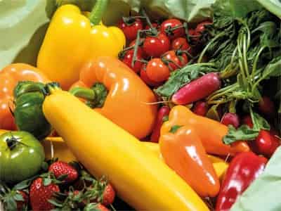 Organisk dyrkede frugter og grøntsager, der anvendes i miljøvenlig kantine | Coor