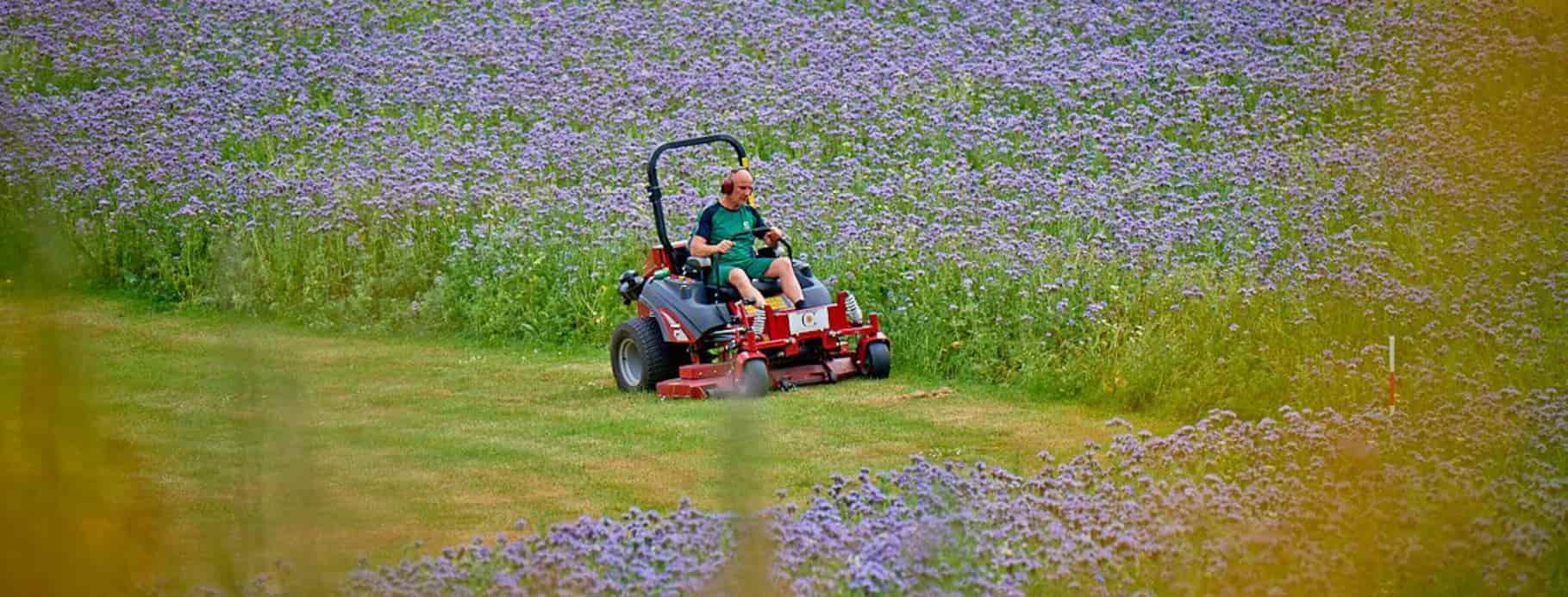 Virksomhedens grønne områder – Coor tilbyder en komplet udendørsservice